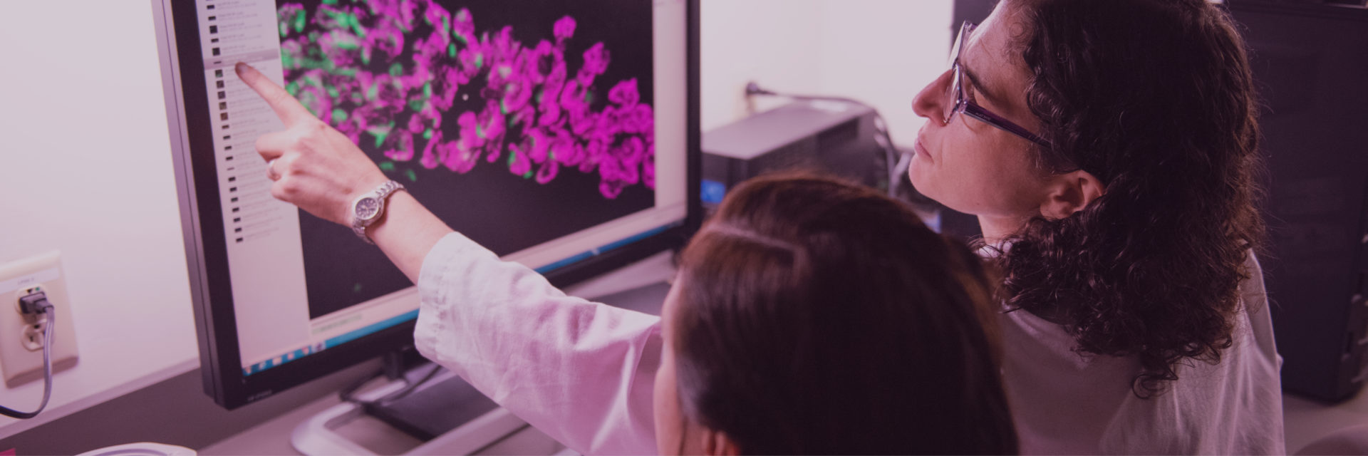 Photo or researcher pointing at computer screen.