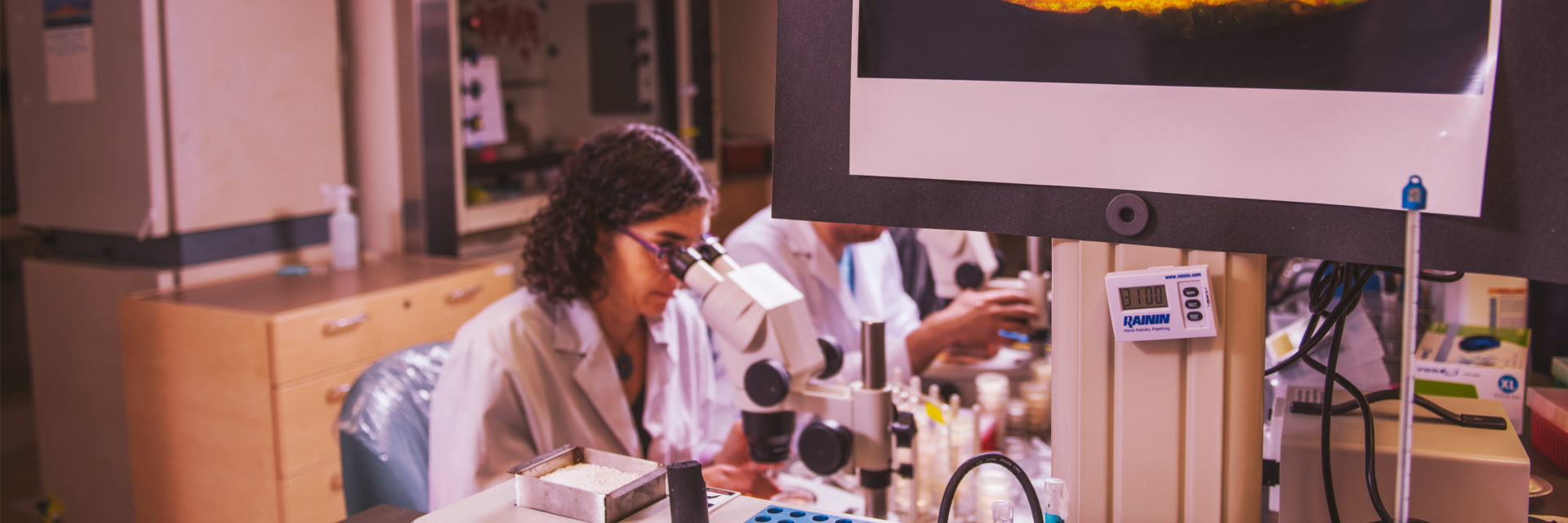 A reseacher using a confocal microscope.