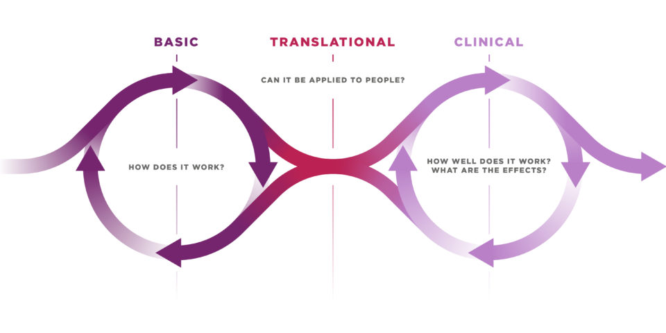Diagram that describes how clinical trials are decided.